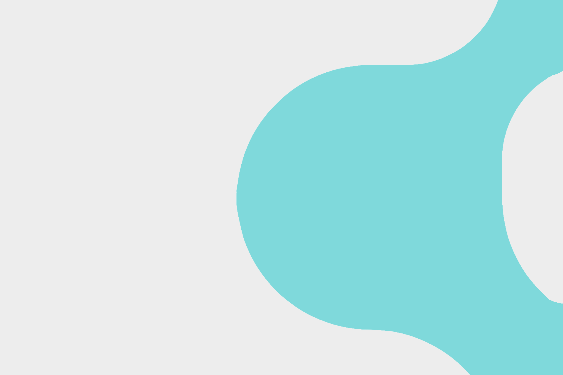 A Nebu Trade Kft.-front